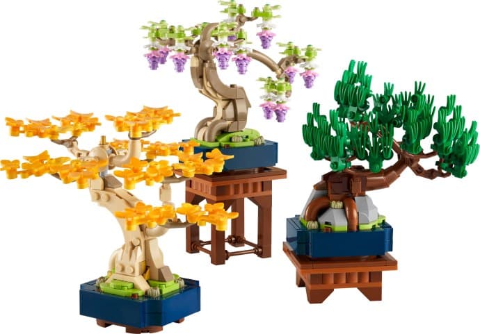 Mini Bonsai Trees