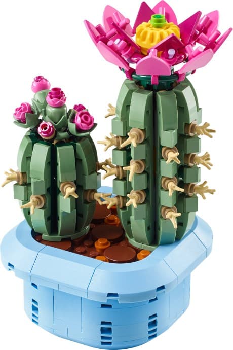 Flowering Cactus