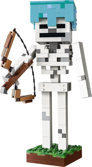 The Skeleton