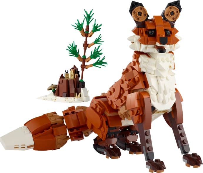 Forest Animals: Red Fox