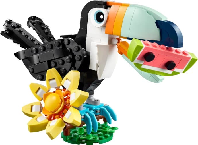 Tropical Toucan