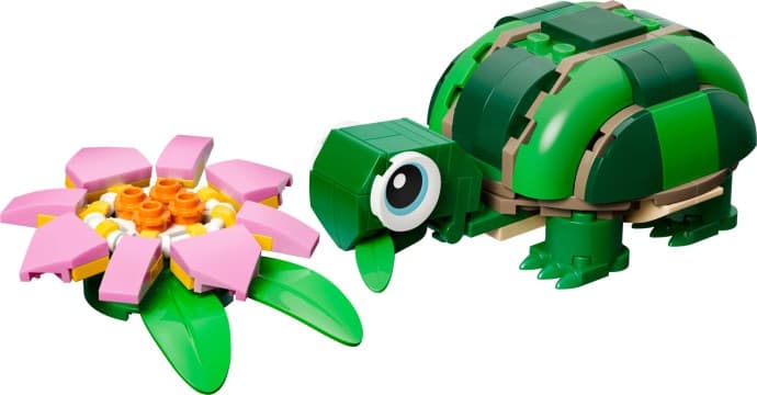Turtle with a Water Lily
