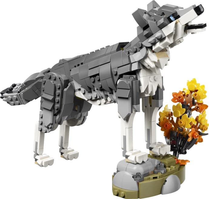 Forest Animals: Grey Wolf