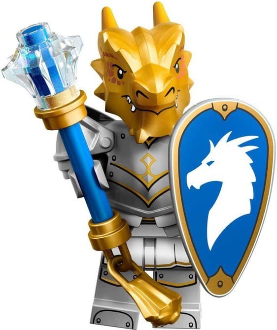 Dragonborn Paladin